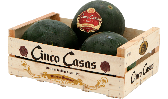 cinco-casas-web-sandia